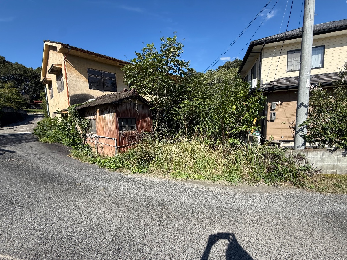 笠岡市 草刈りと雑木の伐採 作業前の道路沿いの様子 便利屋あんばい