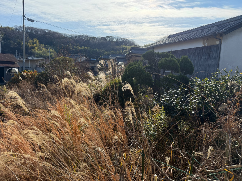 倉敷市玉島 草刈り 便利屋あんばい
